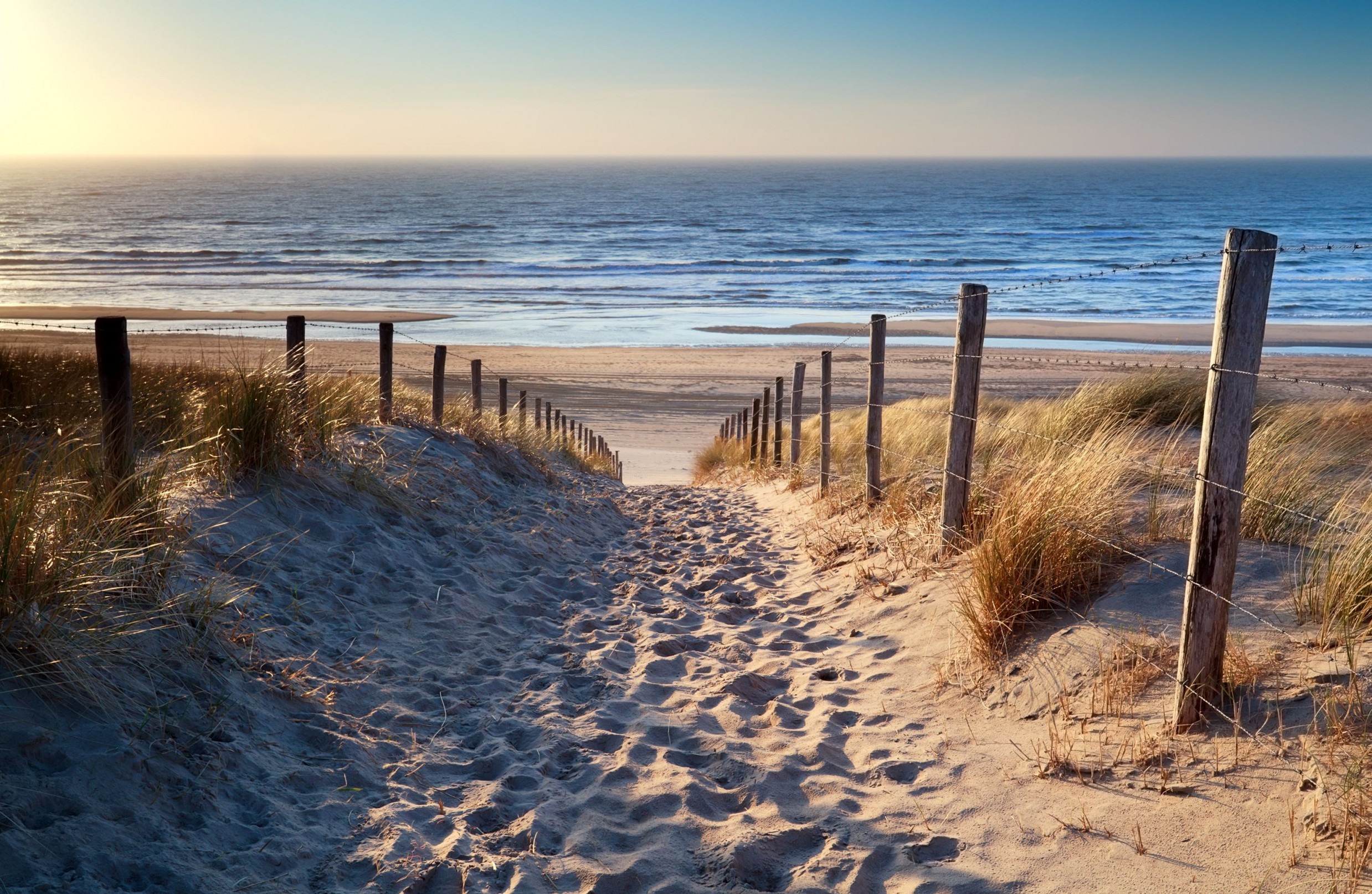 Tip!<br />EuroParcs Noordwijkse <br />Duinen