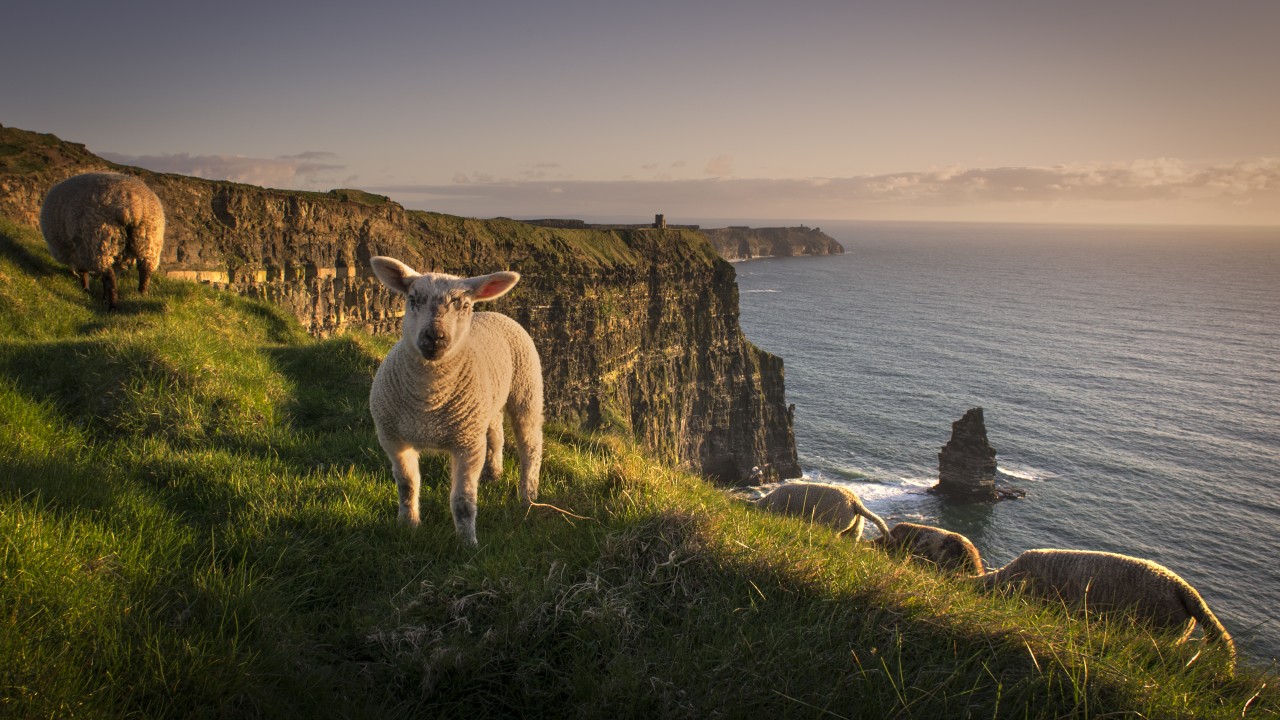 Fly-drive Ierland - ruige kusten en de beste B&B's