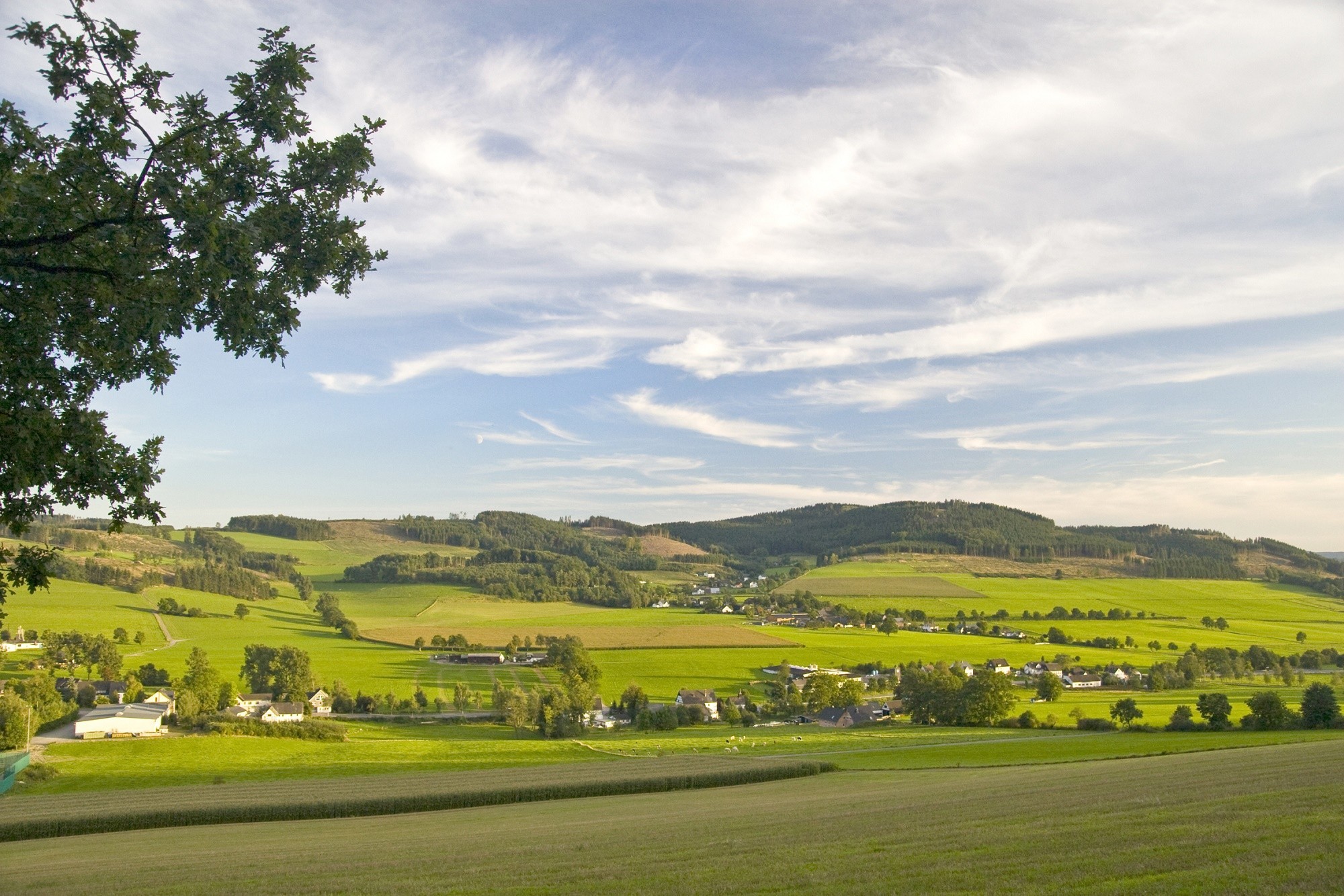 Geniet In De Natuurrijke Omgeving Van Sauerland O.b.v. Halfpension Incl ...