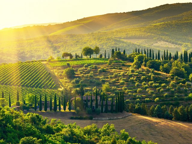 8-daagse rondreis: Tussen de wijngaarden en de <b>Italiaanse Rivièra</b> o.b.v. halfpension