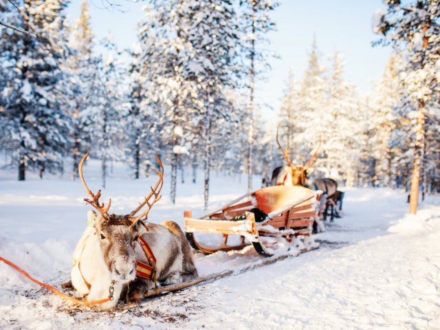 Winterreis naar <b>Fins Lapland</b> incl. vlucht, ontbijt en excursies