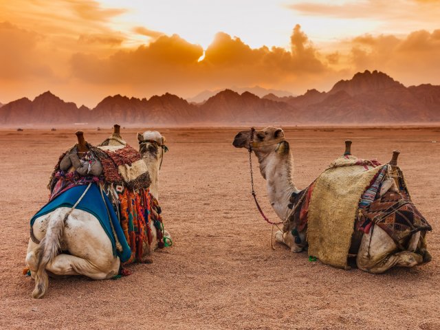 Ontspannen all-inclusive vakantie in <b>Sharm-el-Sheikh</b> incl. vlucht