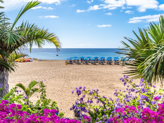 Verblijf in een appartement in <b>Puerto del Carmen</b> op </b>Lanzarote</b> o.b.v. halfpension of all-inclusive!