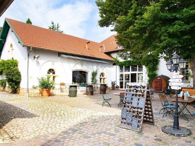 FLASHDEAL! ⚡️ Uniek 4*-hotel in Bad Dürkheim incl. ontbijt of halfpension