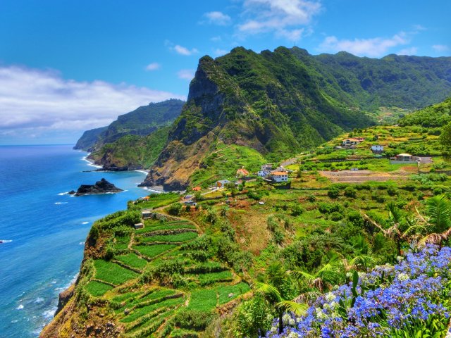 Bijkomen op Madeira! Incl. vlucht en halfpension