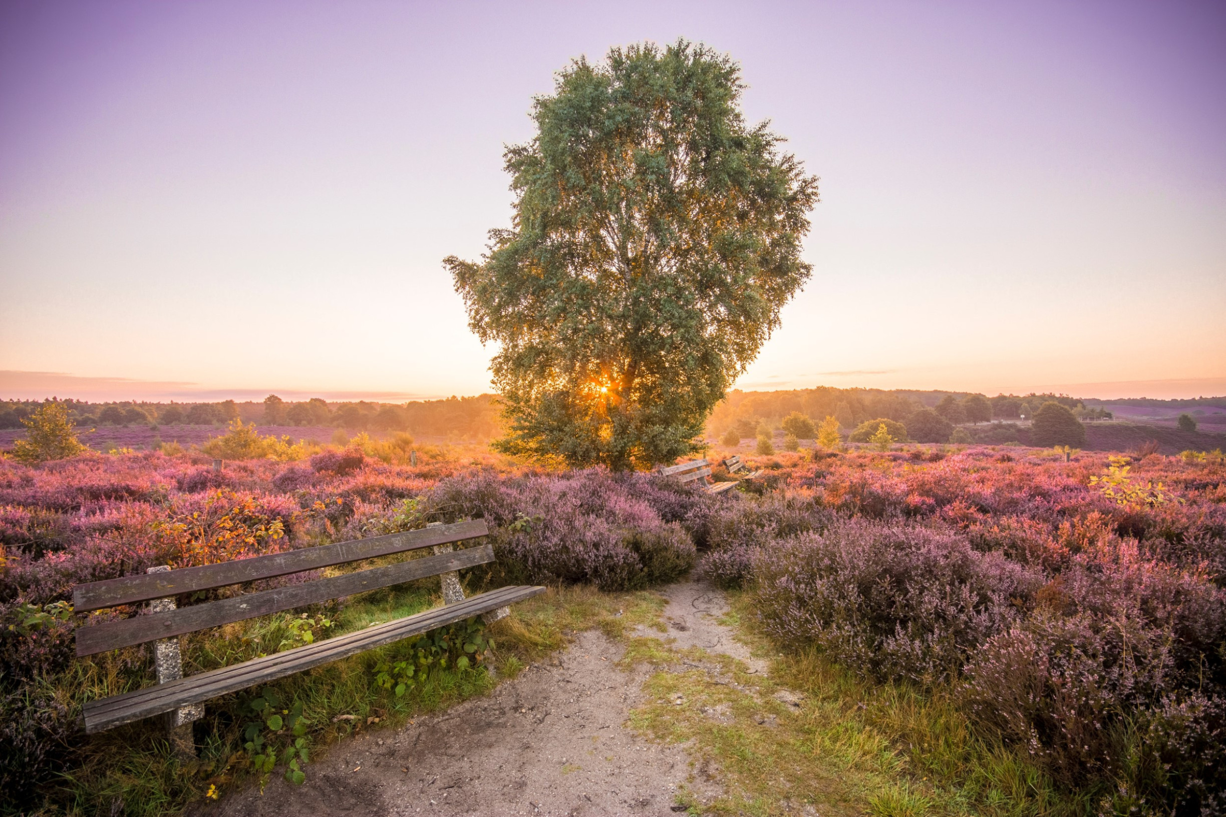 Wellness Op De Veluwe In 4*-hotel Inclusief Dagentree Wellnessresort De ...