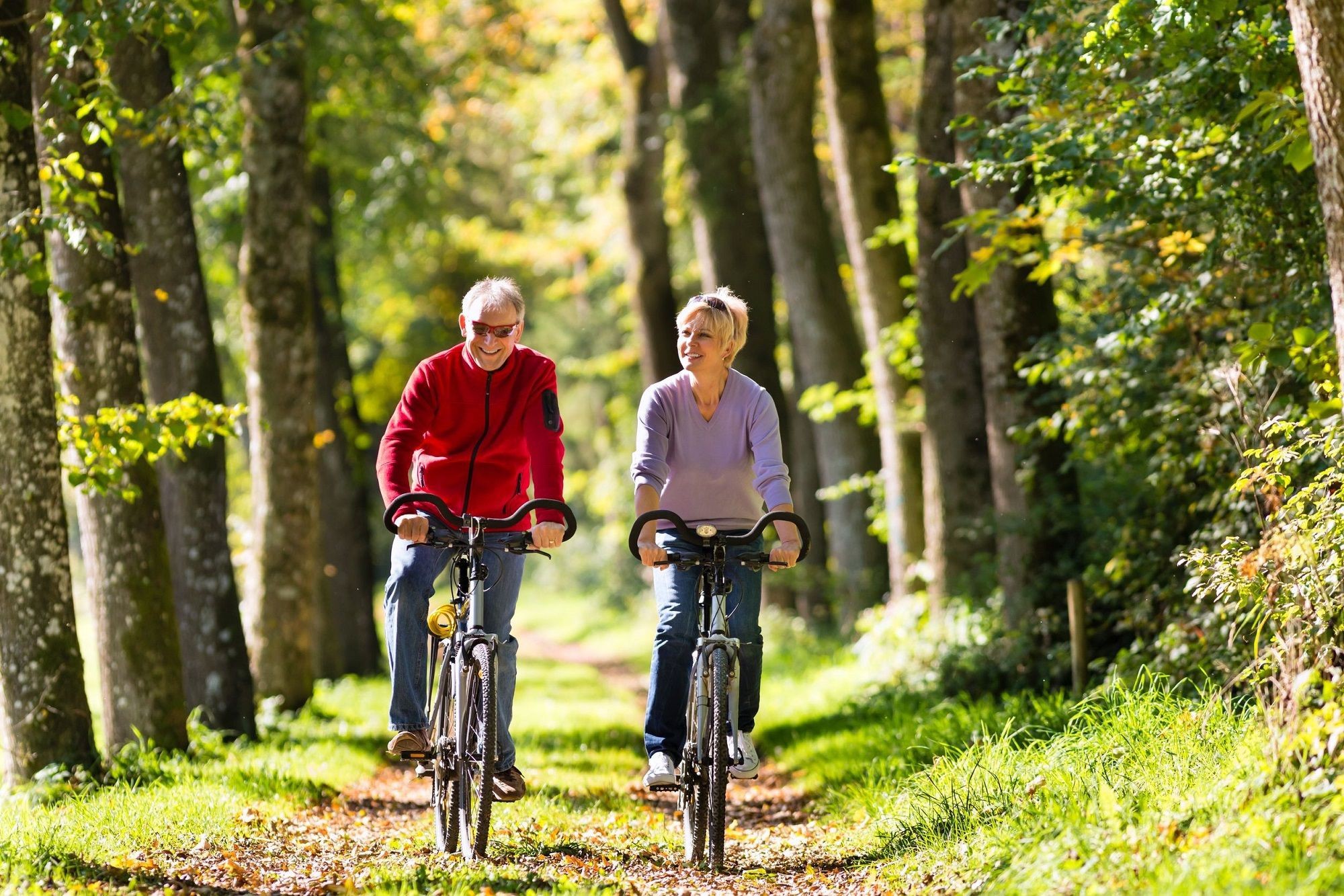 4-daagse Fietsvakantie Door Twente Incl. 2 X Diner En Meer!