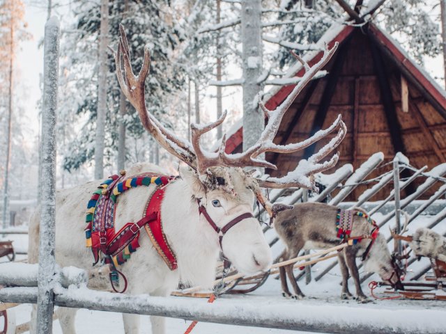 Winter wonderland ervaring in <b>Fins Lapland</b> incl. vlucht, ontbijt en 4 excursies