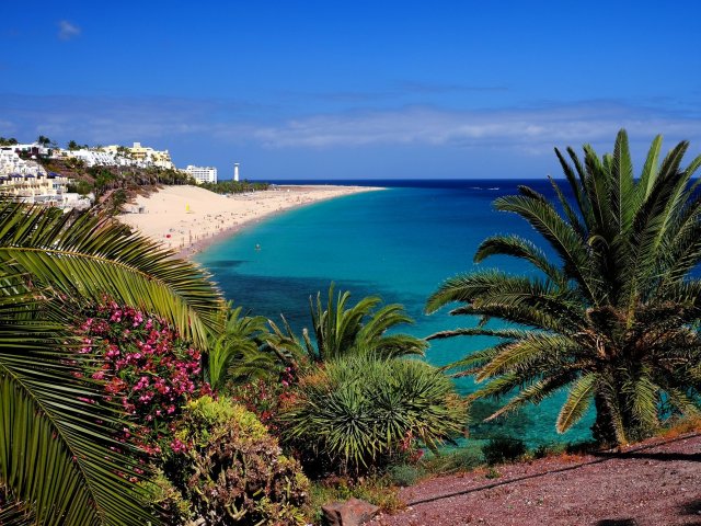 Luxe 4*-hotel op <b>Fuerteventura</b> incl. vlucht