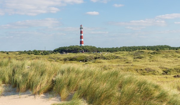 Weekend, week of midweek in een strandchalet op Ameland nabij Hollum en Nes
