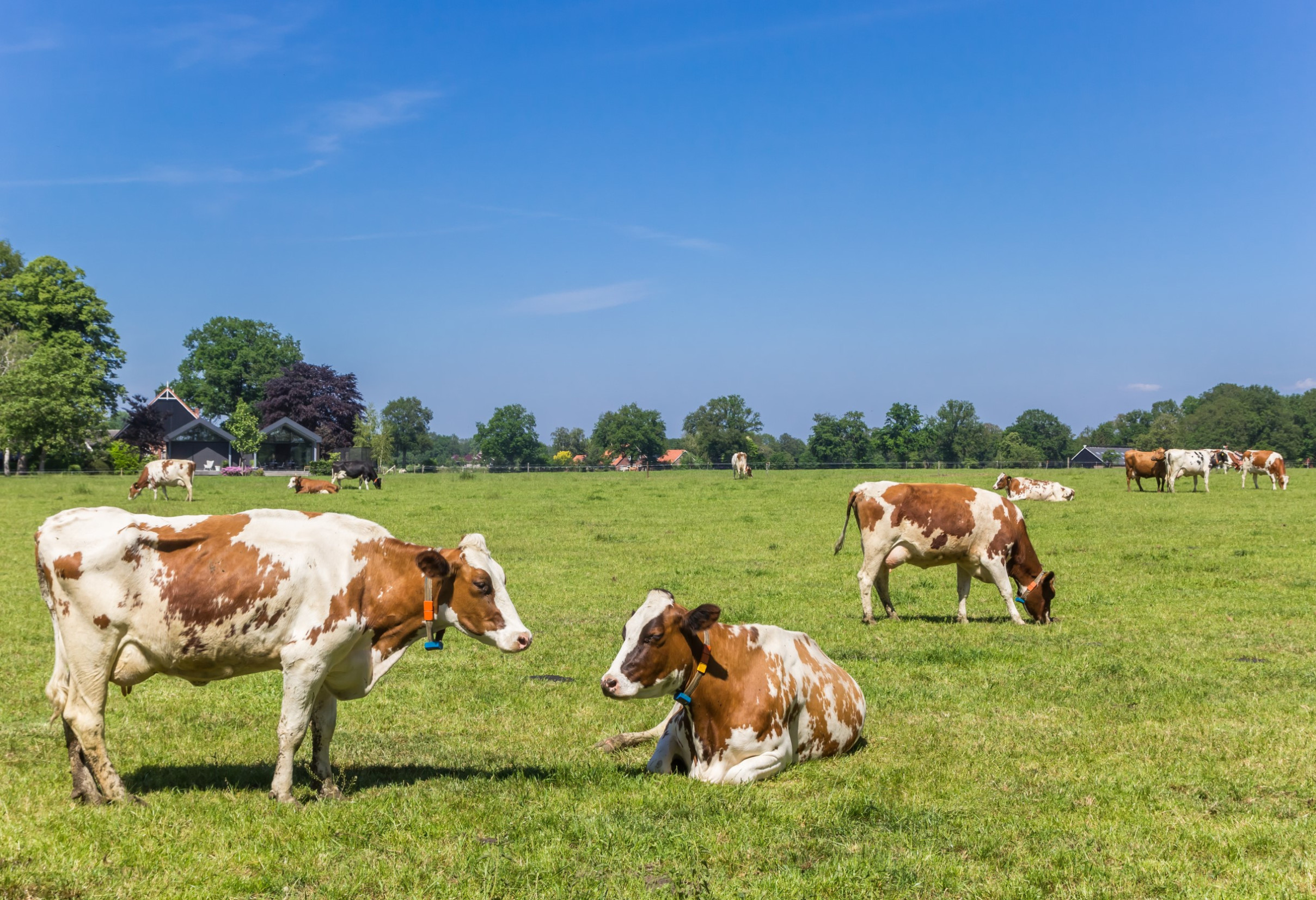 Twente en Achterhoek