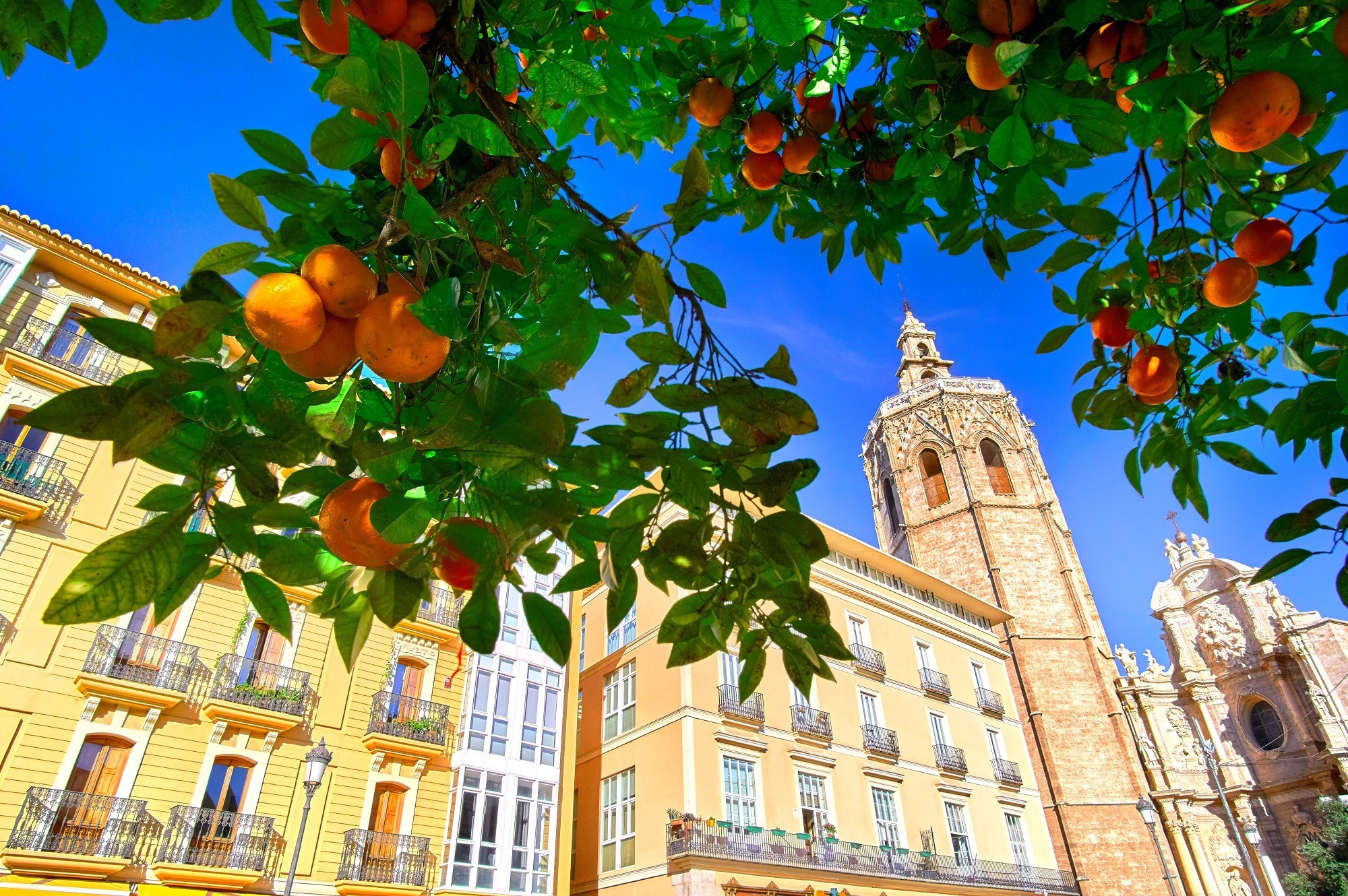 Stedentrip Naar Valencia Incl. Vlucht, Verblijf In 4*-hotel En Ontbijt