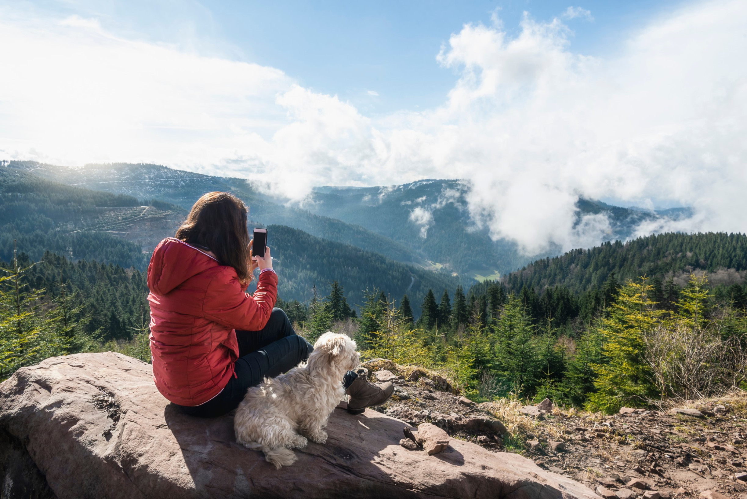 Weekend met de hond naar het Zwarte Woud