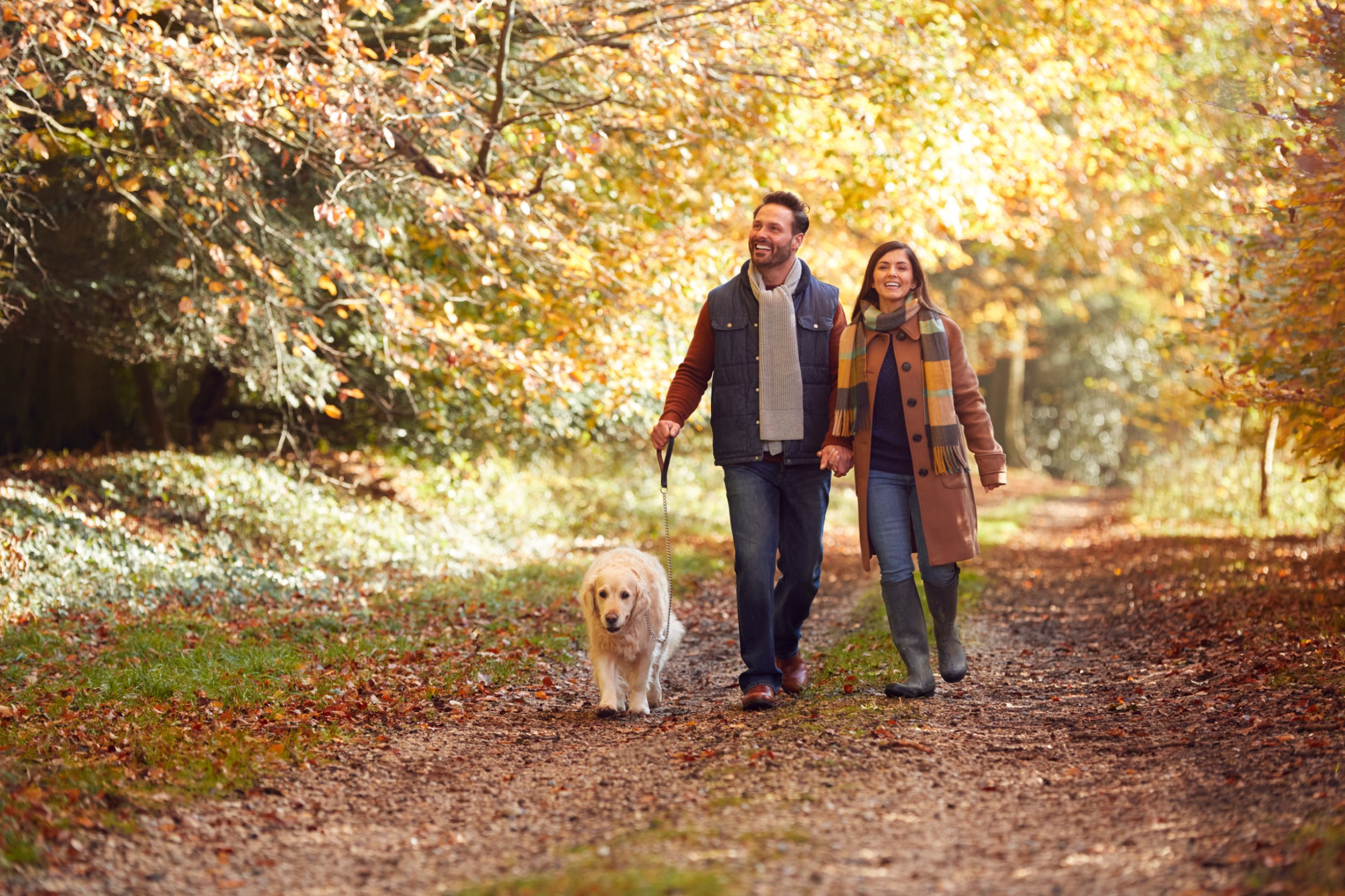 Weekend met de hond naar de Veluwe