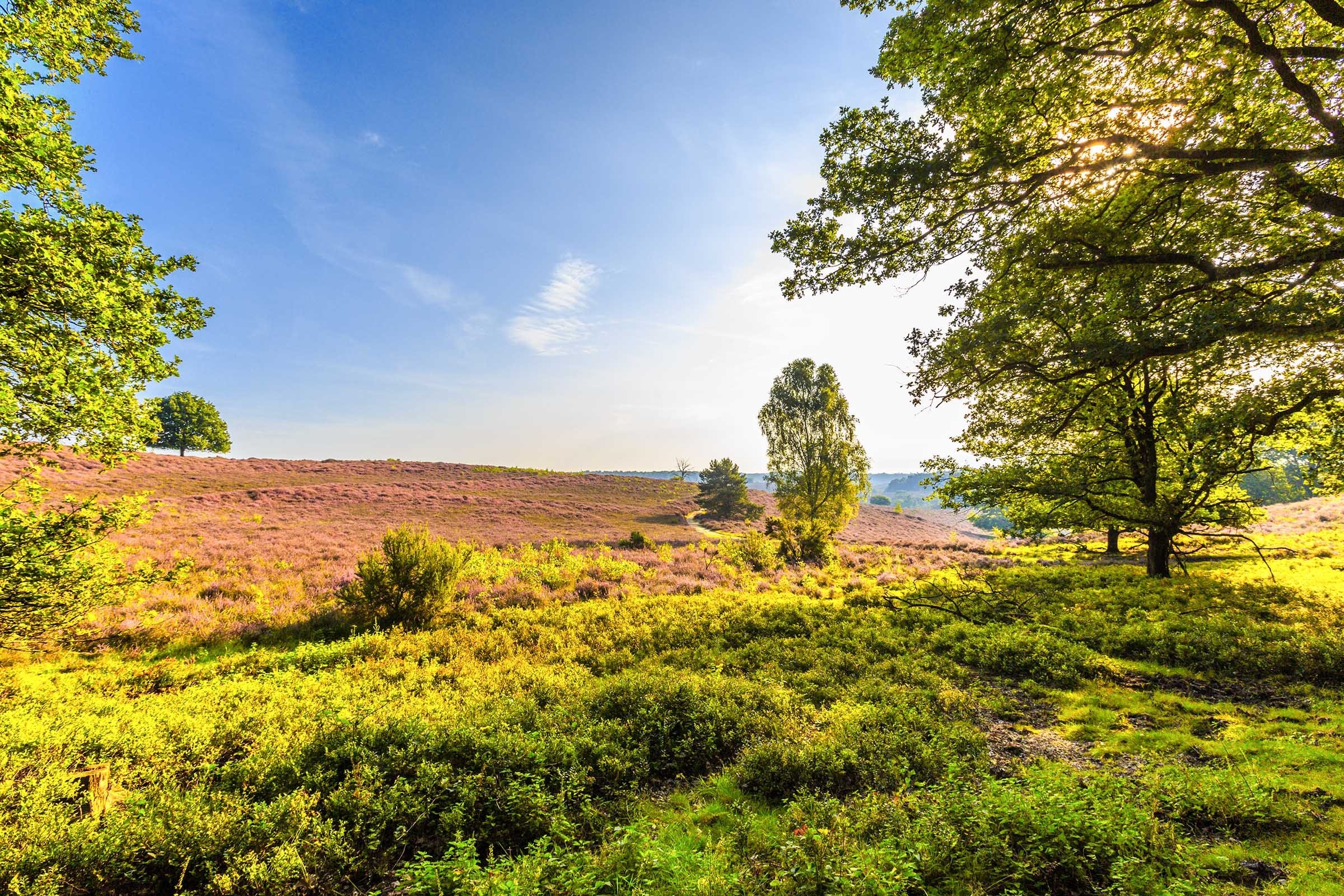 Verblijf Op De Veluwe Incl. Ontbijt, Lunch En Diner