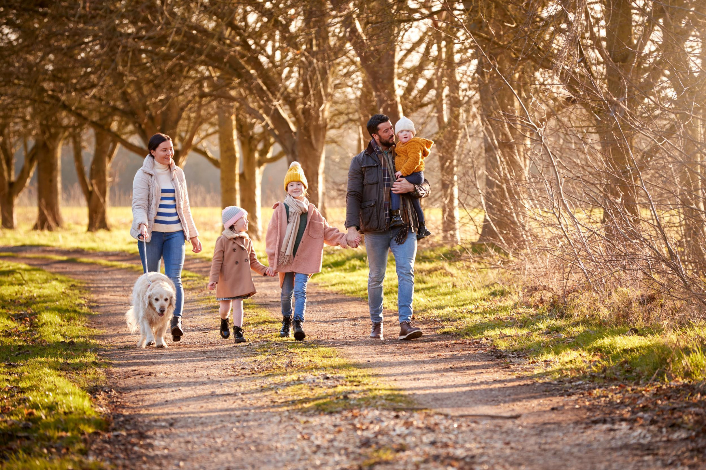Familie wandeld door het bos