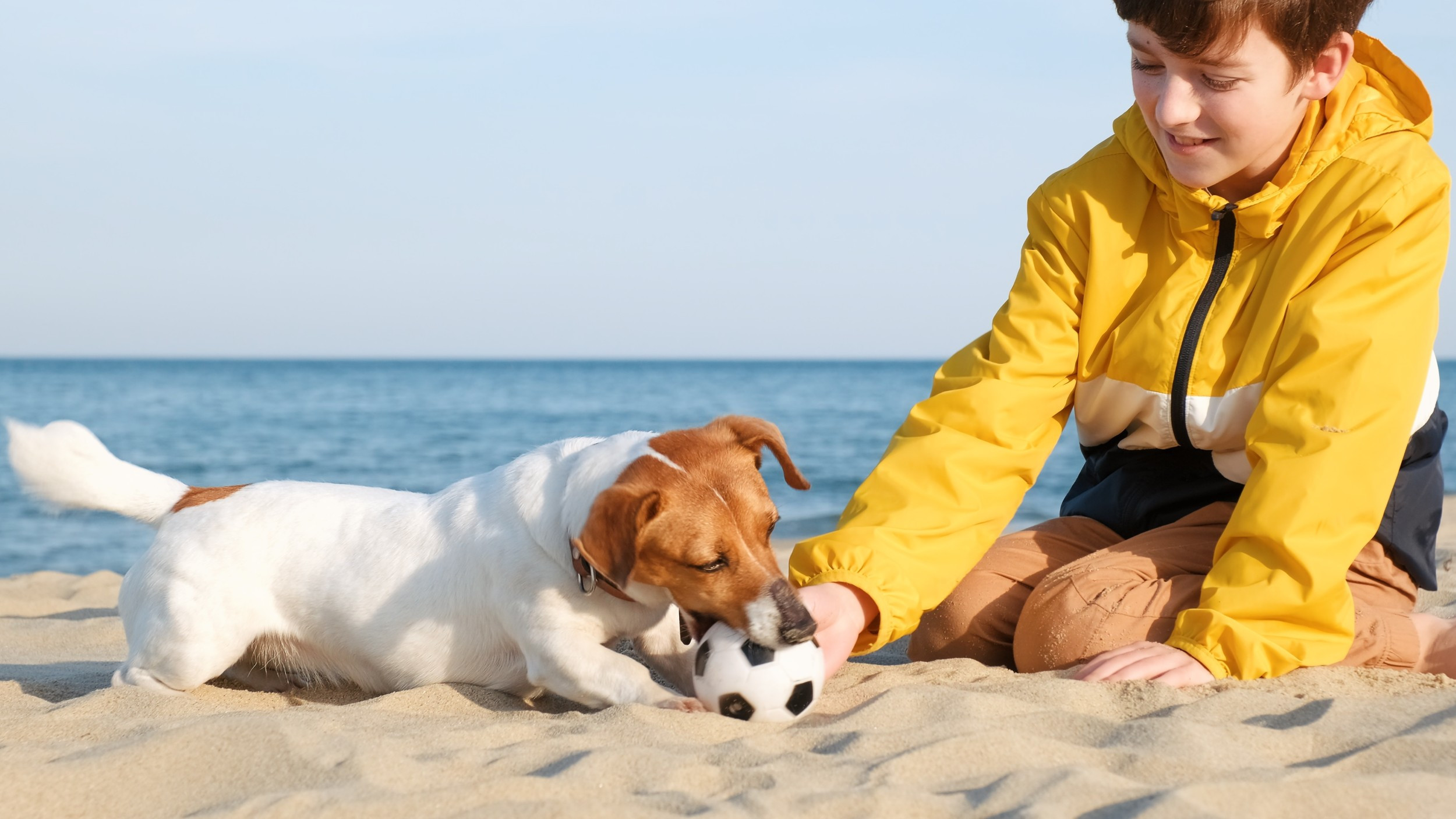 Kind met hond op het strand
