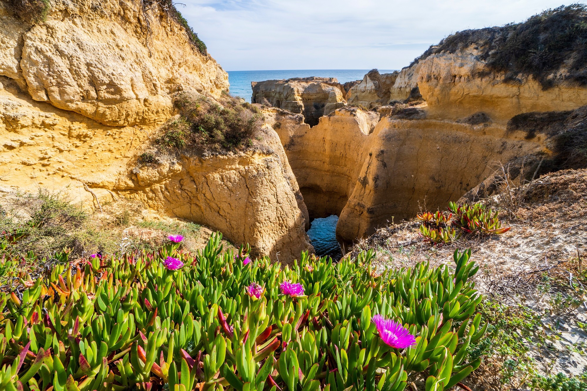 Winterzon Vakantie In De Algarve Incl. Vlucht, Huurauto En Ontbijt