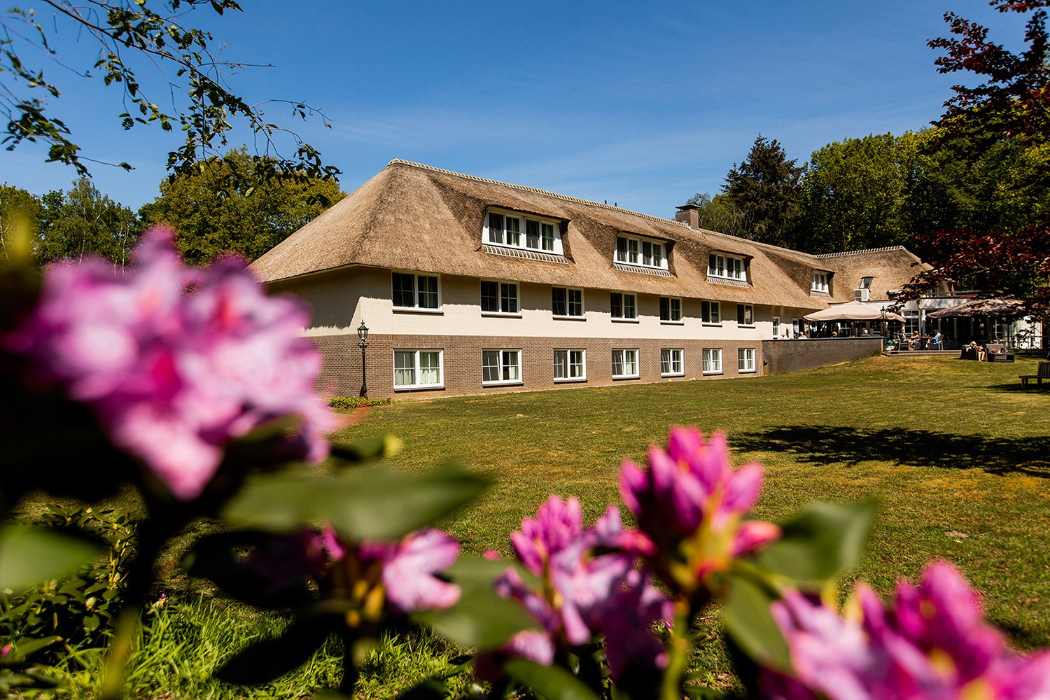 4*-Bilderberg Hotel Middenin De Bossen Op De Veluwe Incl. Ontbijt