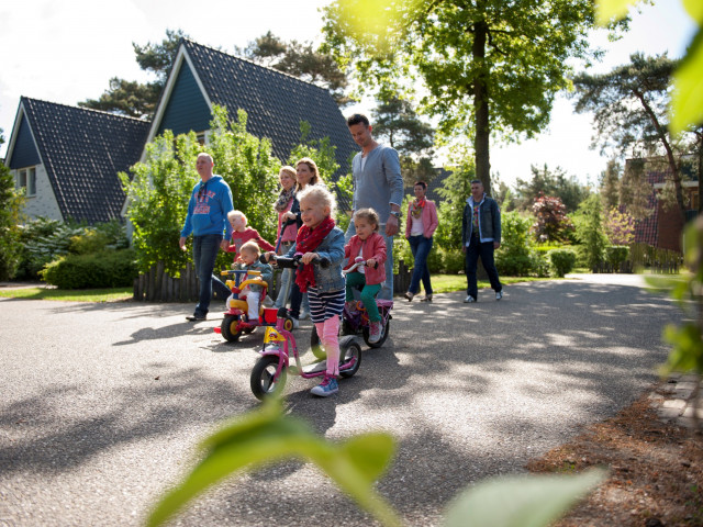 FLASHDEAL! ⚡ Luxe bungalow op familiepark in <b>Brabant</b> aan de <b>Vrachelse Heide</b>