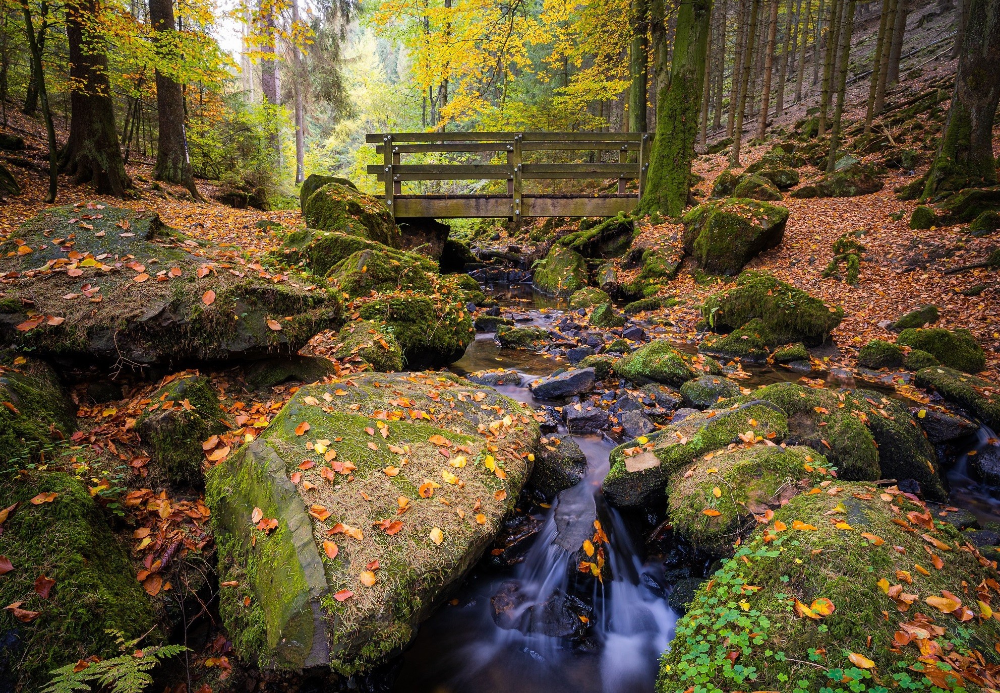 rivier de Sillerbachtal - Teutoburger Wald