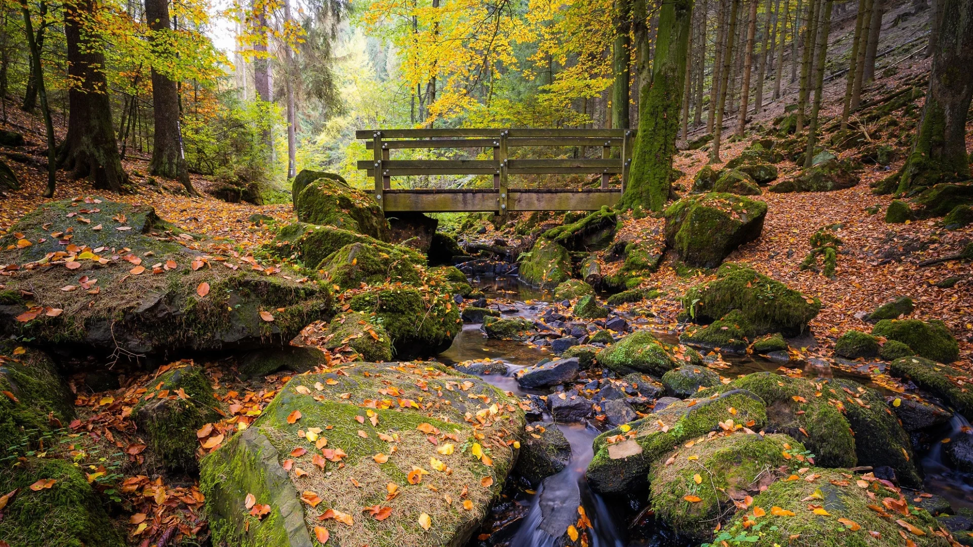 rivier de Sillerbachtal - Teutoburger Wald