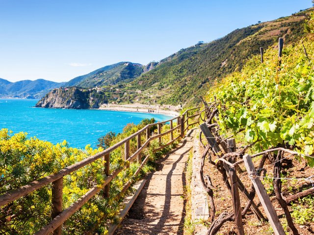 Ontdek de kleurrijke en pittoreske dorpen van <b>Cinque Terre</b> incl. treinticket en diner