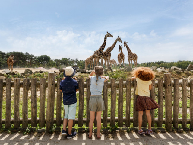FLASHDEAL! ⚡ Verblijf op <b>Vakantiepark Beekse Bergen</b> incl. onbeperkt toegang Safaripark