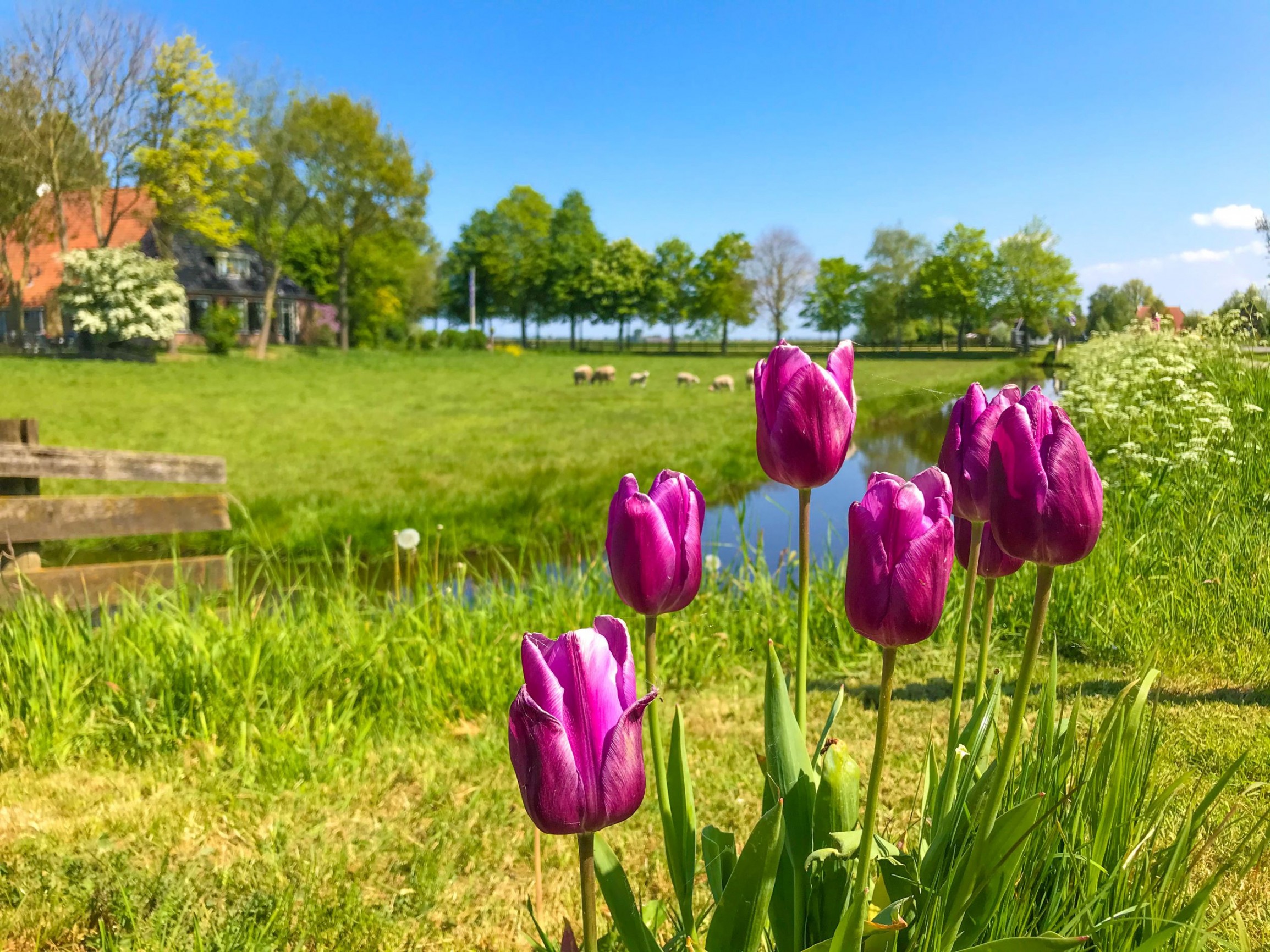 Natuur