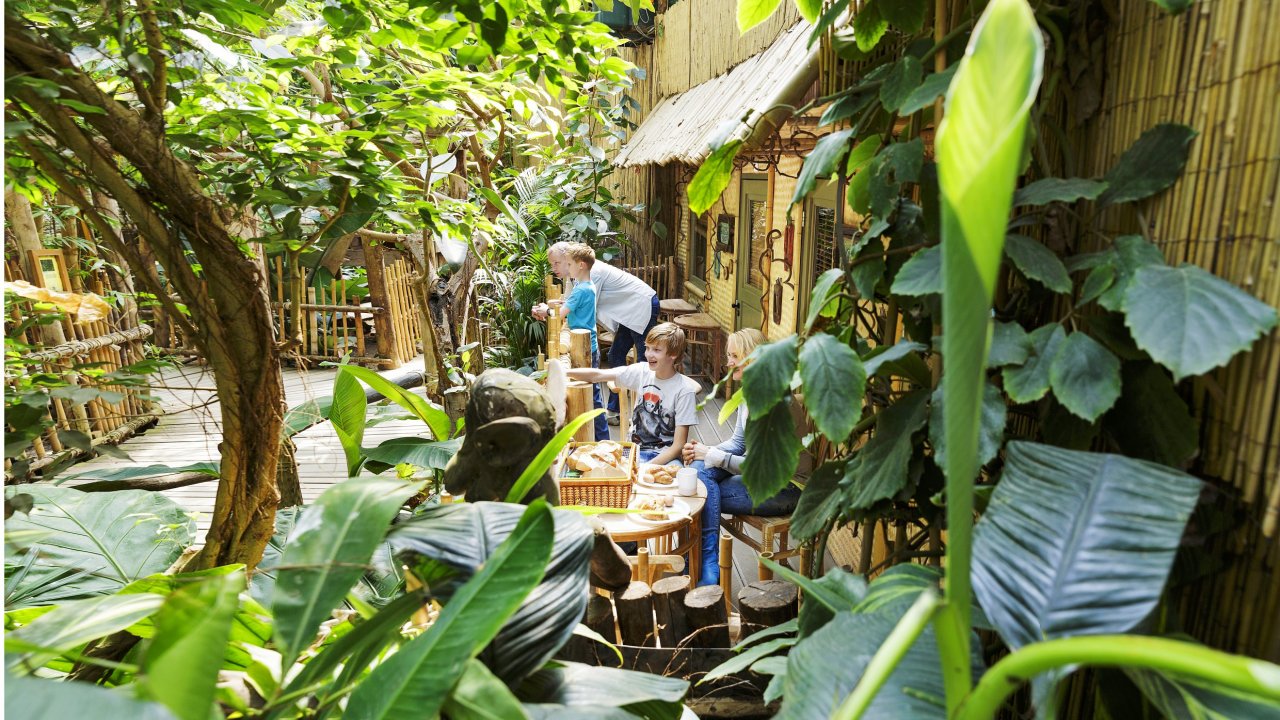 Verblijf in de jungle op Center Parcs <b>Het Heijderbos</b> in een Jungle Cabana incl. ontbijt en extra's