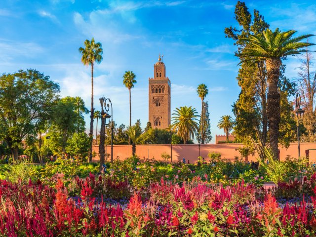 MEGADEAL ⚡ Rondreis <b>Marokko</b>: van Marrakech naar de Sahara incl. vlucht
