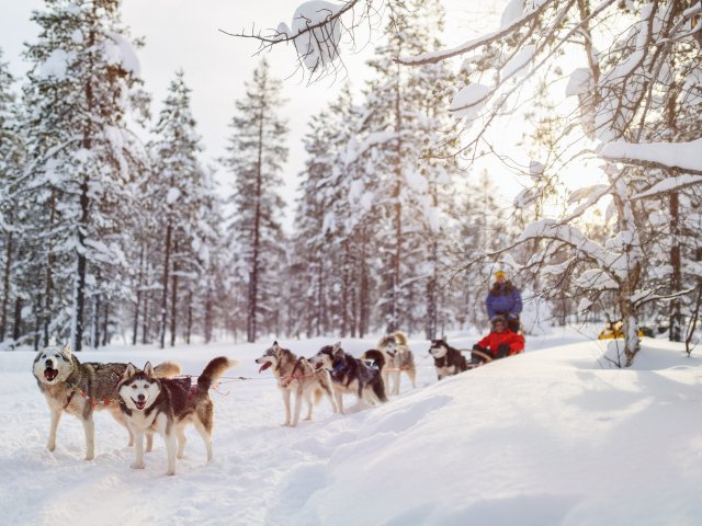 Onvergetelijk winter avontuur in het Finse <b>Levi</b> incl. vlucht, ontbijt en excursies