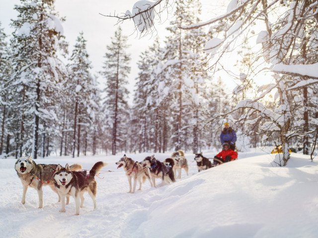 Ga op winteravontuur naar <b>Finland</b> incl. overtocht en vele excursies