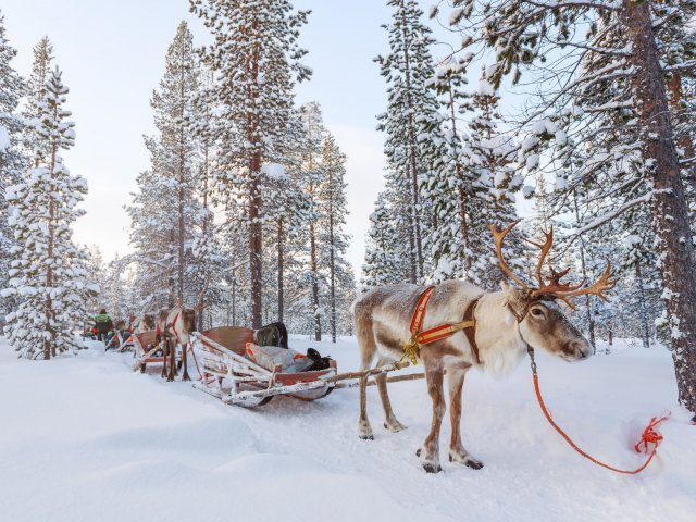 UNIEKE KANS!⚡ 9-daagse winterreis naar <b>Finland</b> incl. overtocht en vele excursies