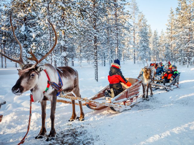 STUNT! ⚡ 8-daagse winterreis naar <b>Fins Lapland</b> incl. vlucht, ontbijt en excursies